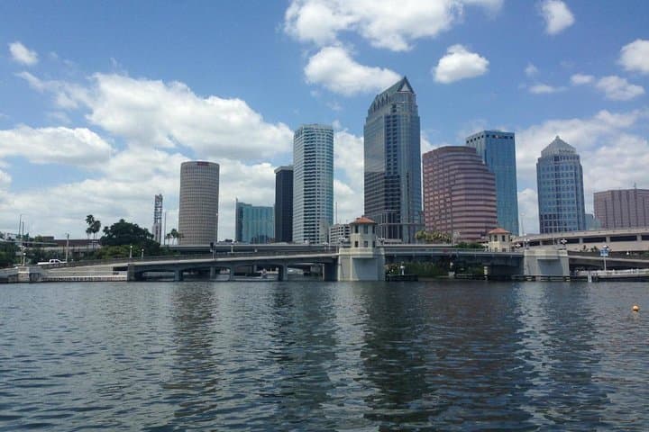 Tampa Celebrity Homes Boat Tour: Davis Islands & Dolphin-Watching Cruise photo 5