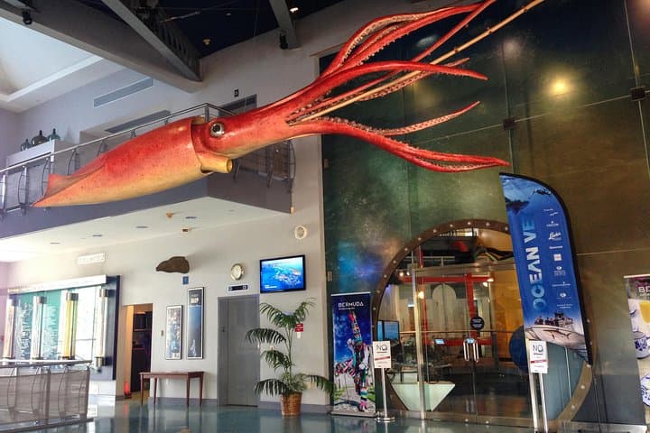 Explore Bermuda's Crystal Caves and BUEI: Subterranean Caverns & Marine Life photo 5