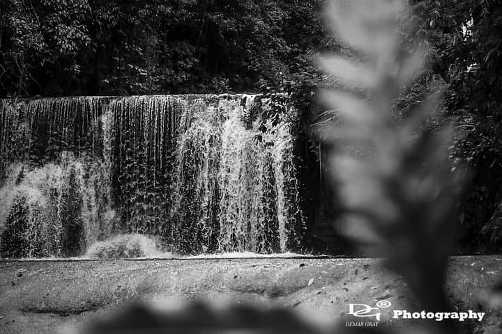 Black River Safari and YS Falls: Mangroves, Crocodiles & Seven-Tiered Waterfalls photo 2