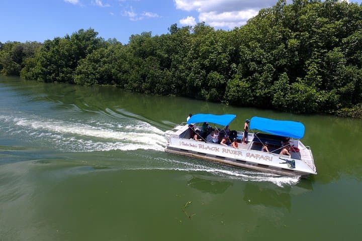 Black River Safari and YS Falls: Mangroves, Crocodiles & Seven-Tiered Waterfalls photo 1