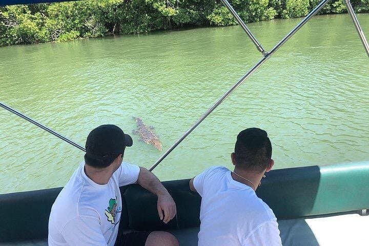 Black River Safari and YS Falls: Mangroves, Crocodiles & Seven-Tiered Waterfalls photo 4