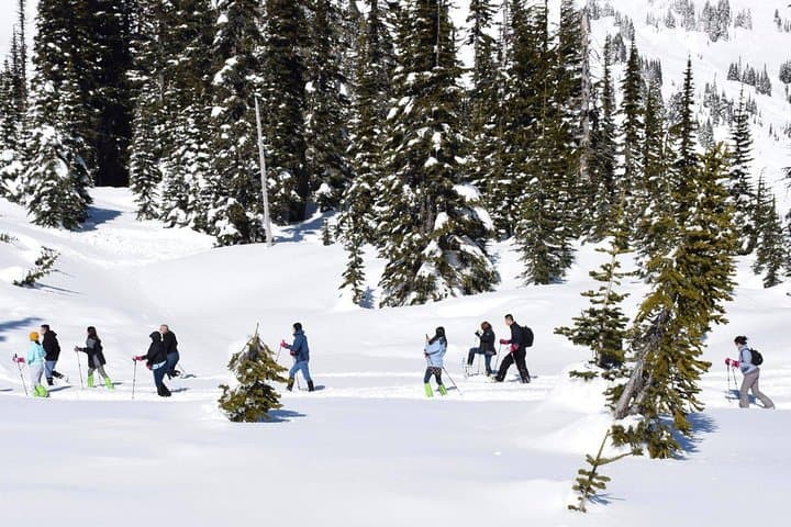 Mt Rainier Day Trip from Seattle — Highlights, Hikes & Practical Tips photo 5