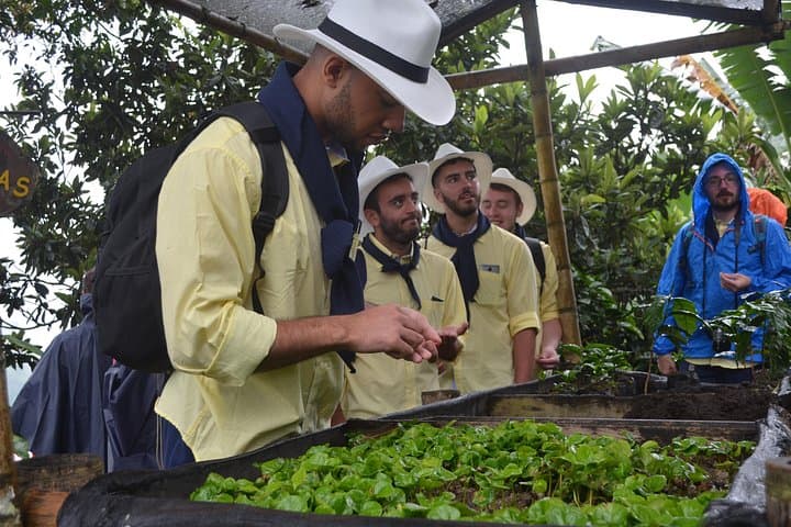 Salentina Coffee-Farm Immersion in Colombia's Coffee Cultural Landscape photo 4
