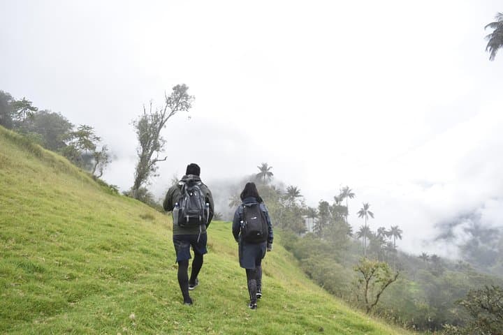 La Carbonera to Machín: Wax Palms, Peasant Lunch and Thermal Springs near Salento photo 3