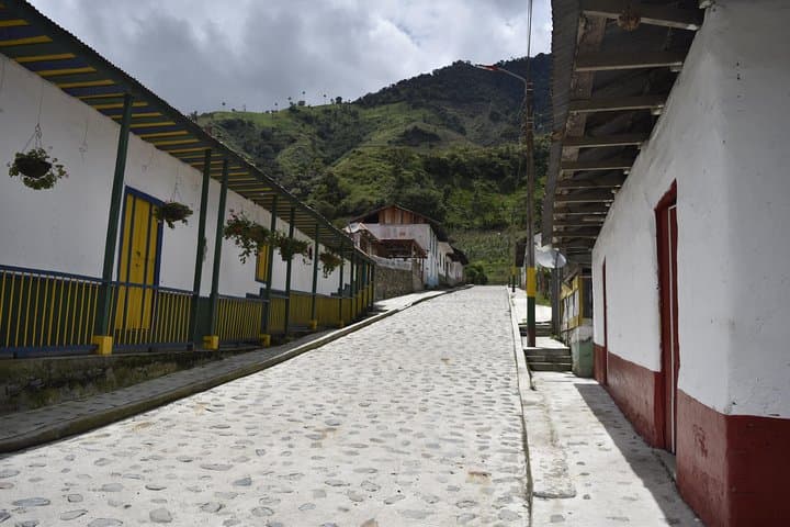 La Carbonera to Machín: Wax Palms, Peasant Lunch and Thermal Springs near Salento photo 6