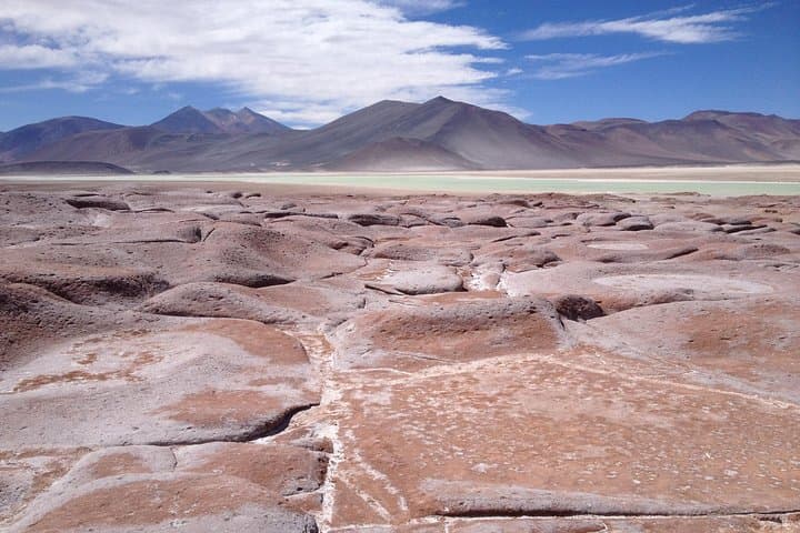Laguna Lejía & Geyser Solitario: Private High-Altitude Expedition from San Pedro de Atacama photo 4