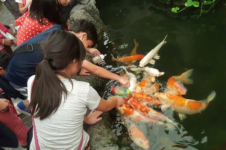 Inside Pattaya Underwater World: Sharks, Rays and Tropical Tanks photo 2