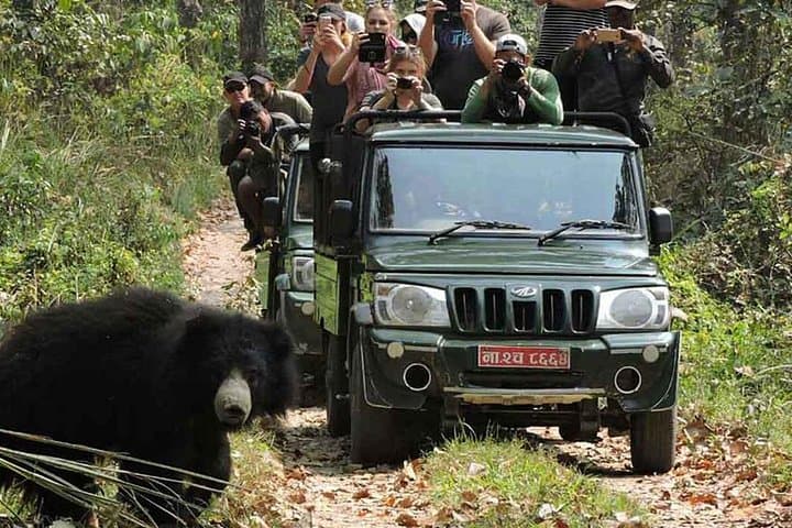 8-Day Nepal Highlights Tour: Kathmandu, Pokhara & Chitwan Adventure photo 2