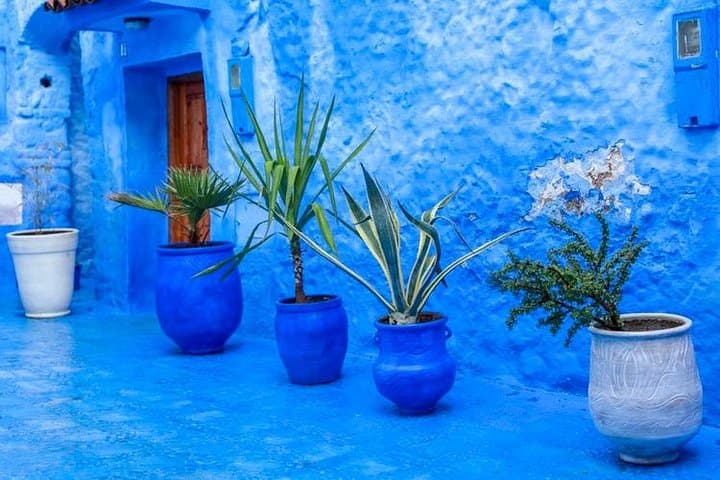 Chefchaouen Day Trip from Fez: Blue City Guided Tour with Skip-the-Line Access photo 6