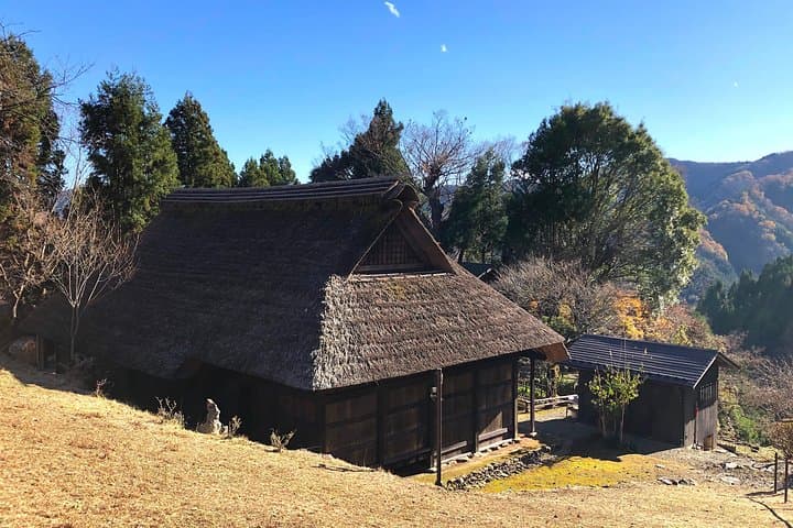 Hinohara Village Day Tour: Waterfalls, Monorail & Traditional Mountain Culture