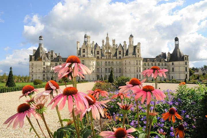 Loire Valley Castles and Cour-Cheverny Wine: Private Day Tour from Tours photo 1