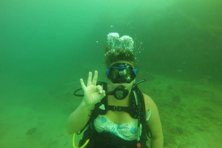 Discover Scuba Diving at Dibba Rock, Fujairah — Beginner-Friendly Day Dive photo 5