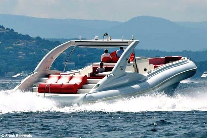 Luxury Opera 60 Whale and Dolphin Watching in Tenerife — 3-Hour VIP Cruise photo 3