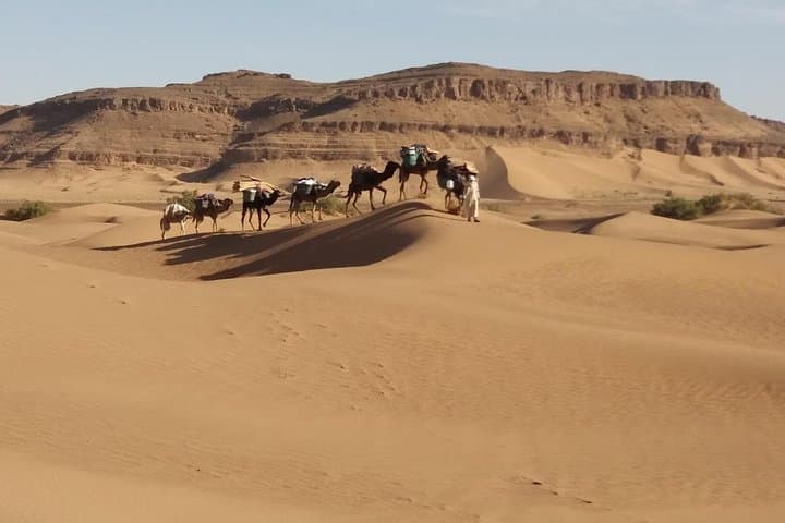 8-Day Camel Trek in Morocco: Marrakech to the Sahara Dunes photo 3