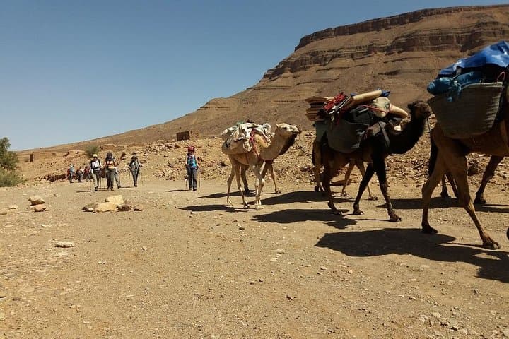 8-Day Camel Trek in Morocco: Marrakech to the Sahara Dunes photo 4