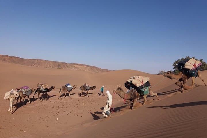 8-Day Camel Trek in Morocco: Marrakech to the Sahara Dunes photo 5