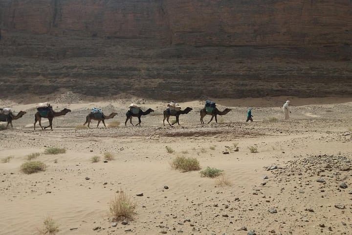 8-Day Camel Trek in Morocco: Marrakech to the Sahara Dunes photo 6