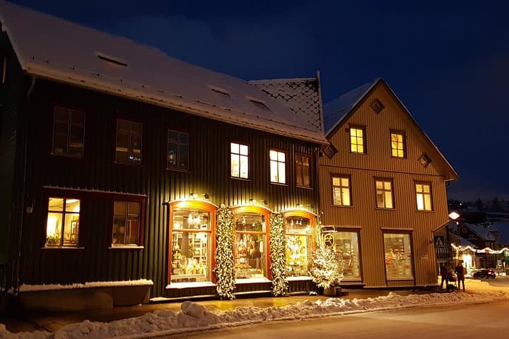 Tromsø City Walk: Two-Hour Arctic Cultural & Waterfront Stroll photo 3