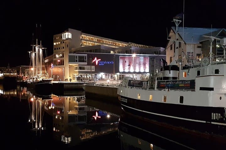 Tromsø City Walk: Two-Hour Arctic Cultural & Waterfront Stroll photo 5