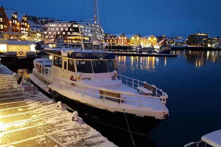 Tromsø City Walk: Two-Hour Arctic Cultural & Waterfront Stroll