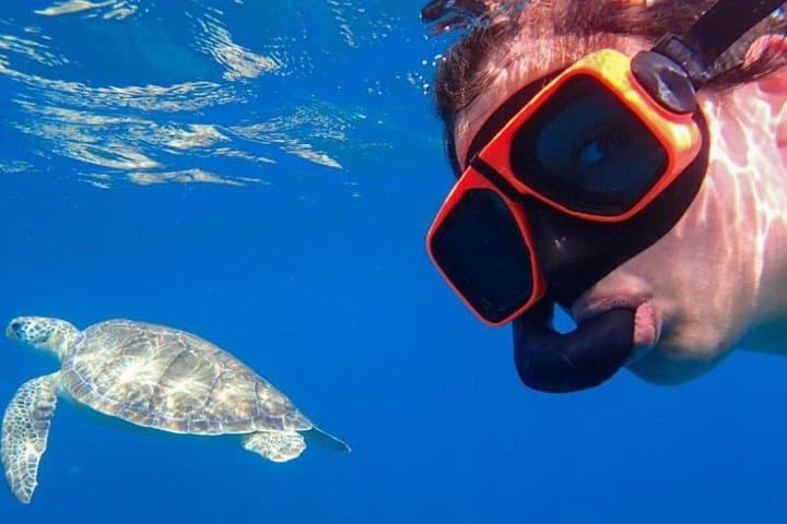 three-island-snorkel-adventure-st-maarten-turtles-pinel-tintamarre-creole-rock photo 3