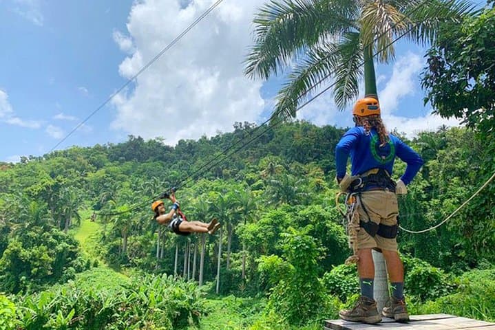 El Yunque Ziplining: Rainforest Canopy Adventure Near San Juan photo 3