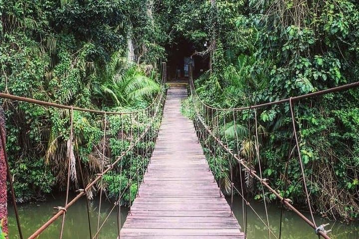 Khao Yai National Park Jungle Trek: Day Trip from Bangkok photo 4