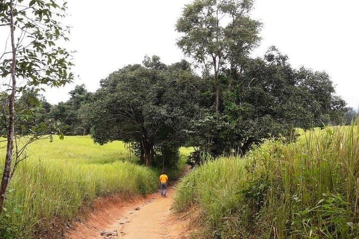 Khao Yai National Park Jungle Trek: Day Trip from Bangkok photo 3