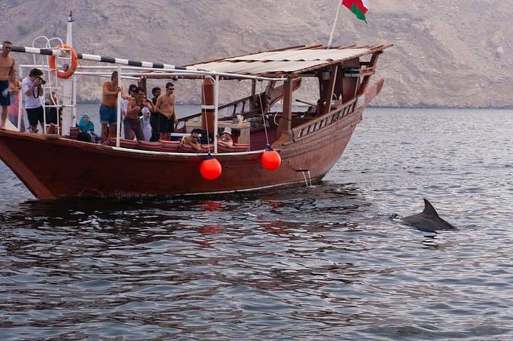 Private Half-Day Dhow Cruise in the Musandam Fjords (Khasab) photo 6