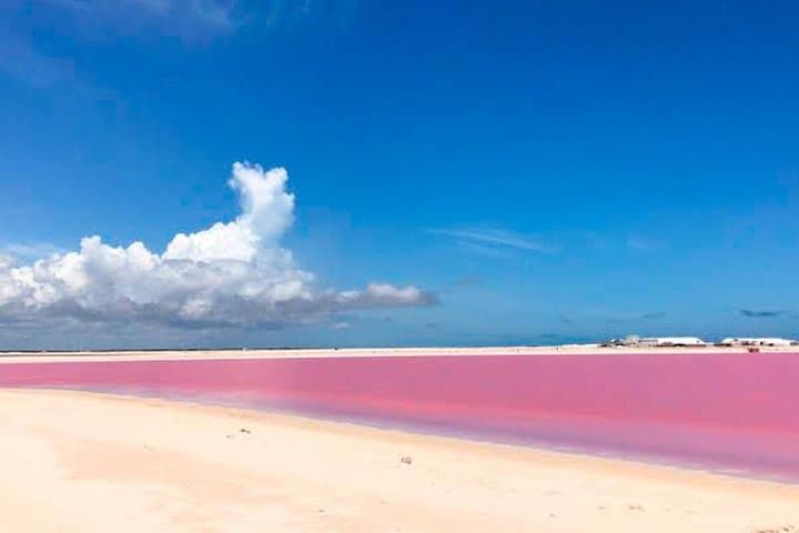 Las Coloradas Pink Lakes & Río Lagartos Day Trip from Tulum photo 5