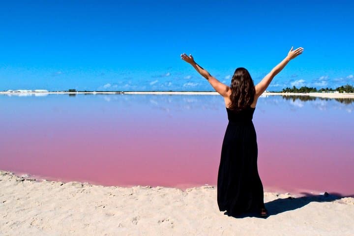 Las Coloradas Pink Lakes & Ría Lagartos Wildlife Day Trip from Playa del Carmen photo 4