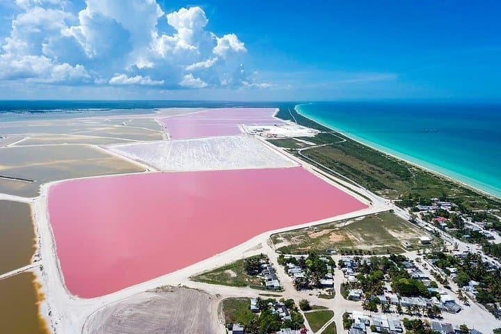 Las Coloradas Pink Lakes & Rio Lagartos Boat Tour from Cancun photo 4