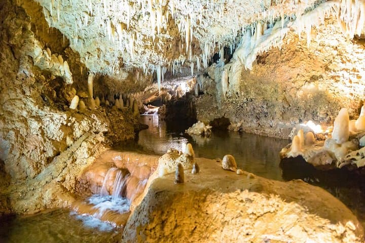 Harrison's Cave and Atlantis Submarine: Half‑Day Barbados Cave & Underwater Tour photo 2