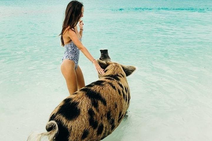 Exuma Elite Escape: Fly-In Swimming Pigs, Thunderball Grotto & Sandbar Snorkel photo 4