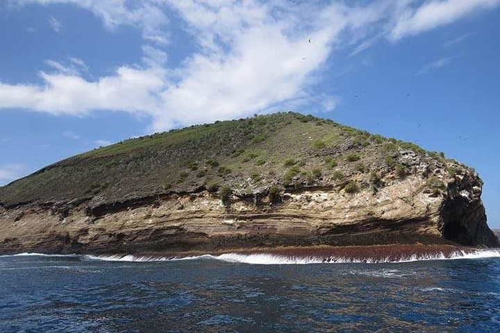Snorkel and Fish at Tortuga Islet: Half-Day Trip from Isabela