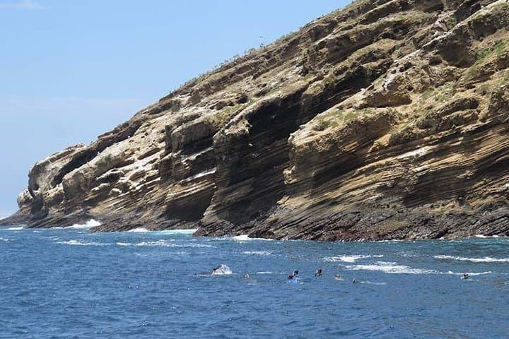 Snorkel and Fish at Tortuga Islet: Half-Day Trip from Isabela photo 3