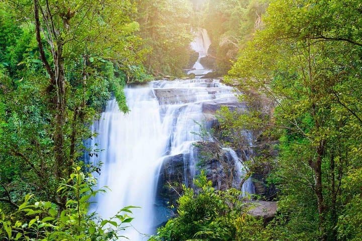 Doi Inthanon National Park Full-Day Small-Group Tour from Chiang Mai photo 2