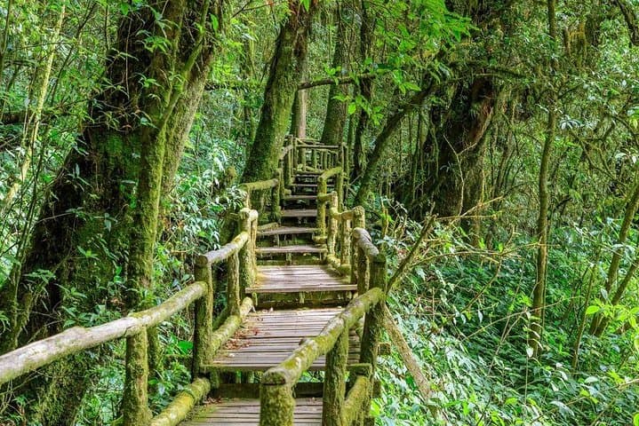 Doi Inthanon National Park Full-Day Small-Group Tour from Chiang Mai photo 5
