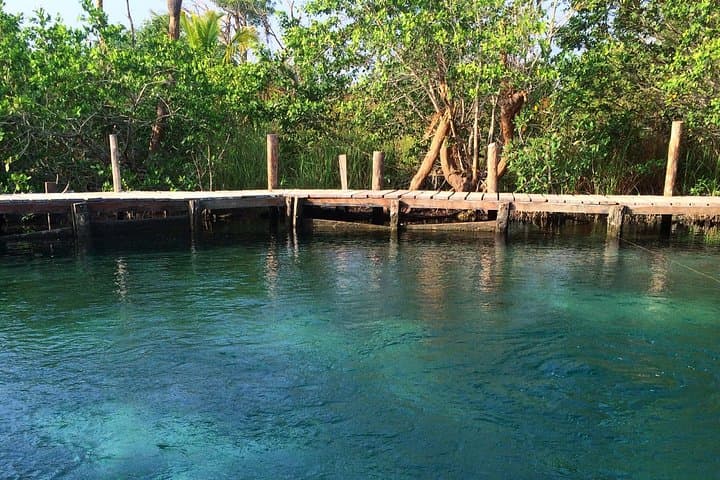 Holbox Day Trip: Yalahau Cenote, Isla Pasión & Punta Mosquito from Playa del Carmen photo 2