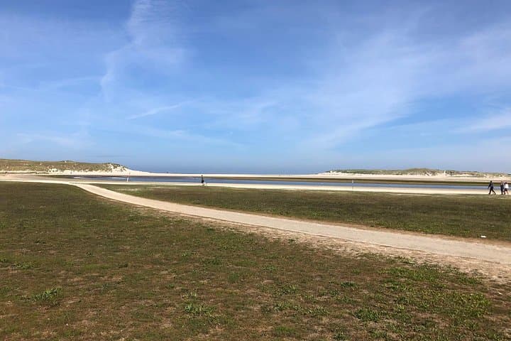 Texel Day Tour & Wadden Sea Walk: Ferry, Nature Reserves and Mudflat Hike from Amsterdam