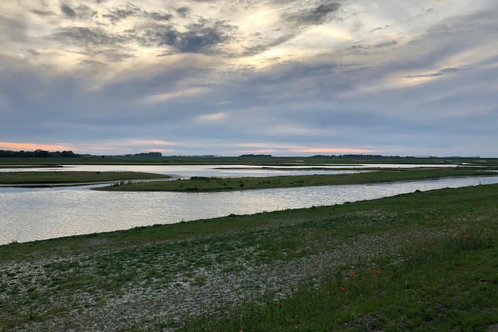 Texel Day Tour & Wadden Sea Walk: Ferry, Nature Reserves and Mudflat Hike from Amsterdam photo 5