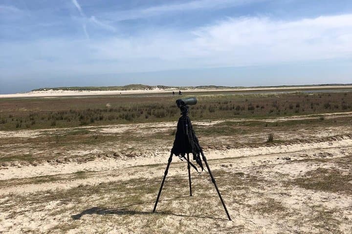 Texel Day Tour & Wadden Sea Walk: Ferry, Nature Reserves and Mudflat Hike from Amsterdam photo 6