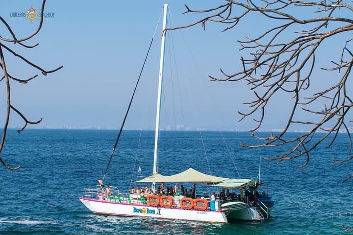 Bahia de Banderas Whale Watching Expedition — Puerto Vallarta Winter Migration Cruise photo 4