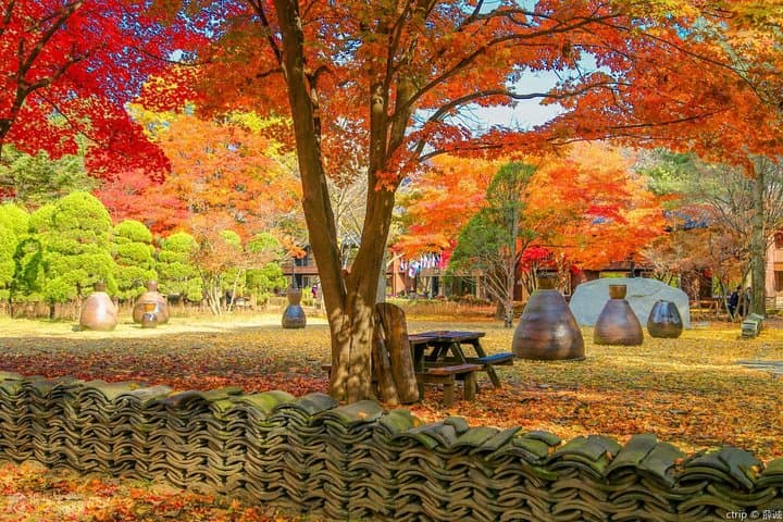 Private Day Trip to Nami Island & Elysian Gangchon Ski Resort from Seoul photo 1