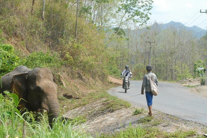 21-Day Vietnam–Laos–Thailand Motorcycle & 4WD Expedition — Mae Hong Son Loop & Golden Triangle photo 1