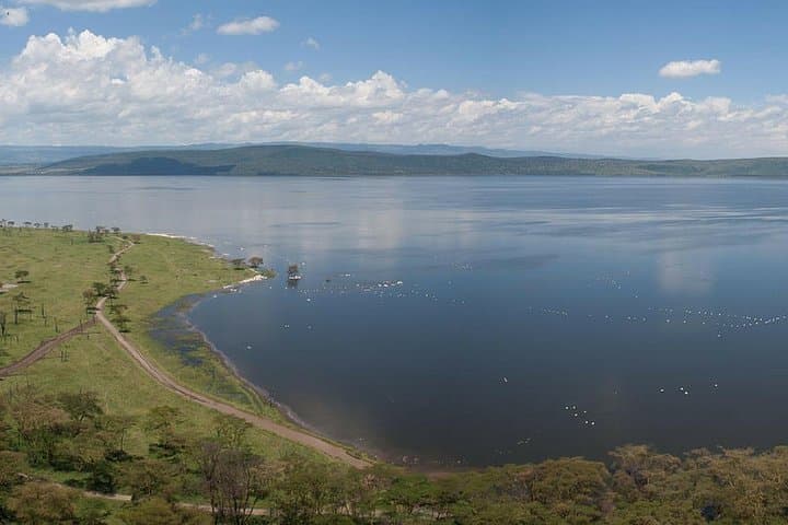 3-Day Bird Watching Safari from Nairobi: Flamingos, Rhinos & Rift Valley Lakes photo 5