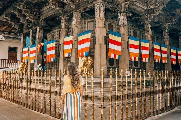 Kandy Sightseeing Day Tour from Bentota — Peradeniya Gardens, Temple of the Tooth & Tea Factory