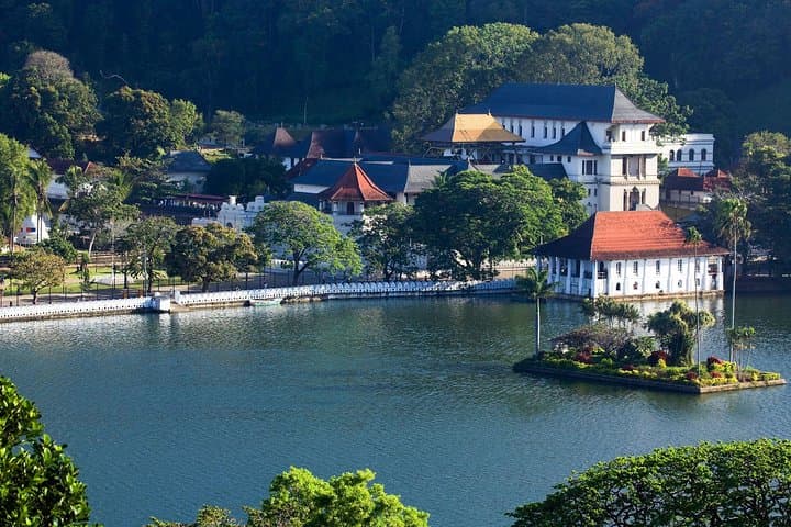 Kandy Sightseeing Day Tour from Colombo — Temple, Tea Factory & Peradeniya Gardens photo 3
