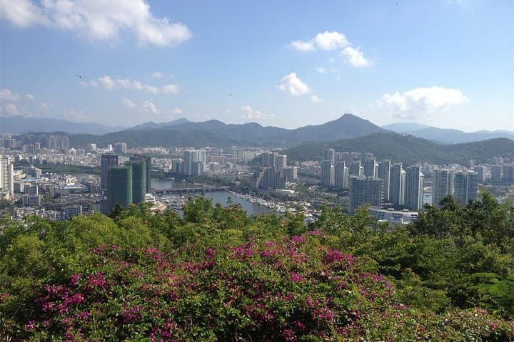 Half-Day Sanya Shore Excursion — Luhuitou Park Views & Local Grocery Market photo 5