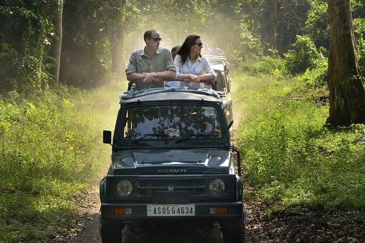 Sariska Tiger Reserve Jeep Safari — Skip-The-Line Tickets & What to Expect photo 2